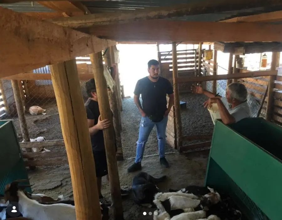 Asesoría a productores